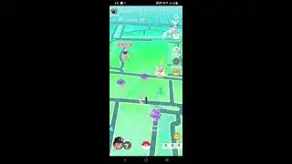 Porygon Community Day Live in Pokemon Go | Porygon in Great League ?? |