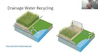 ADMC Research Recap: Water Stress Impacts on Crops &ndash; Excess and Deficit