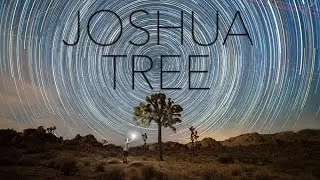 Joshua Tree National Park at Night Timelapse 4k