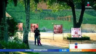 Qu&eacute; es el bienestar social y c&oacute;mo se mide