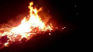 Paasvuur neermoor kolonie