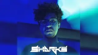 Sharks -ID#1