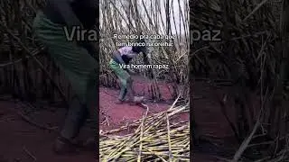 Esse &eacute; o rem&eacute;dio pro caba de brinquinho na orelha