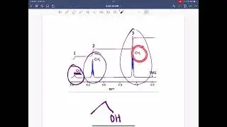 Ellie Sullivan Proton NMR Extra Credit Assignment