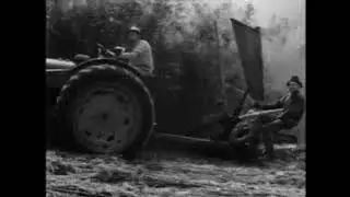 The Same Old Souls - Fiber