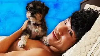 Weird Things All Dog Owners Do