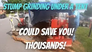Stump Grinding - Controlling Flying Debris