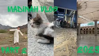 Madinah Vlog! | Part 2 | All food places and things to do | including Masjid Nabawi 🕌 And well 💦 🇸🇦