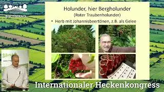 2.3 Wertsch&ouml;pfung wiederbeleben I Heckenwirtschaft neu entdeckt Udo Sch&ouml;nthaler (Mary&rsquo;s MarmeLaden)