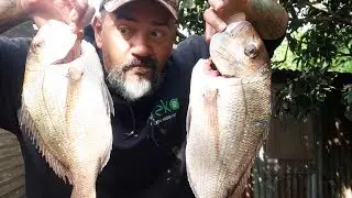 East Coast NZ VLOG #4 Smoked Snapper Heads & Fish and Chips