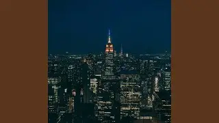 Rooftop Nights