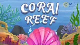 Coral Reefs Explained: Why they&rsquo;re dying and How we can help