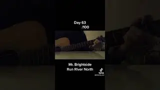 Mr. Brightside - Run River North [cover] Day 63 #shorts