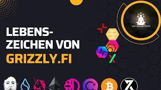 #Grizzly.fi Updates als Lebenszeichen und #Moneta, Liquis, Palmswap und Thena Exkurs