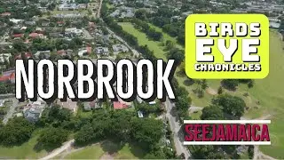 Discovering Norbrook, Jamaica: Unveiling the Tranquil Beauty of an Upscale Neighborhood