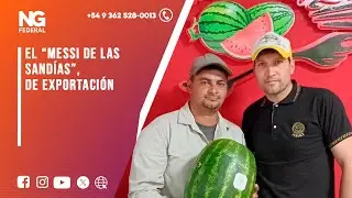 NGFEDERAL - EL &ldquo;MESSI DE LAS SAND&Iacute;AS&rdquo;, DE EXPORTACI&Oacute;N