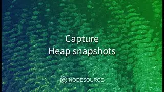 Create Heap Snapshots