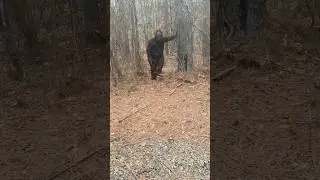 Bigfoot Sighting? What Our Camera Picked Up! #shorts