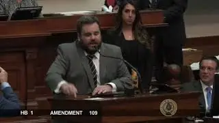 Rep. Stickland Proposes Amendment Related to Feral Hog Hunting