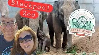 Come along with us to Blackpool Zoo!! #fypシ #funny #blackpoolattractions #happy 