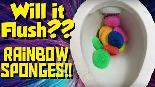 Will it flush? Rainbow sponges