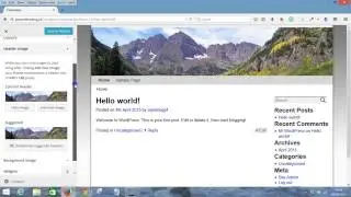 4 Customise Your Theme - Professional and Mobile Responsive WordPress Website