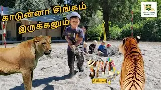 இந்த ஊர்ல எப்படி இந்த மிருகங்கள் வந்துச்சு #denmark #tamiltraveler #visitdenmark #tamil