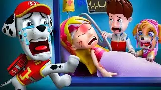 Katie, Please Wake Up! Very Sad Story | Paw Patrol Ultimate Rescue | Paw Patrol Animation