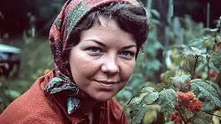 Kris Rattus - At Least the Roses Are Pretty