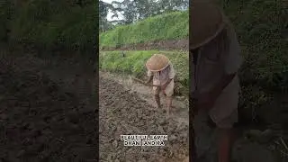 The spirit of old farmers using traditional farming techniques to hoe the land #shorts