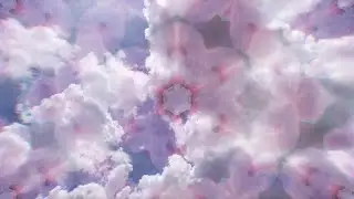 extrafloral nectaries (music video)