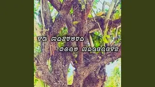 Noqu Mareqeti