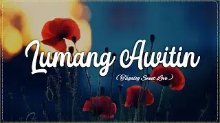 Lumang Awitin 🌹  Tagalog Sweet Love - Lyrics (Official HD Video)