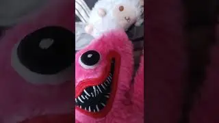 Aslhey look at ME!!! wooly dan kissy missy
