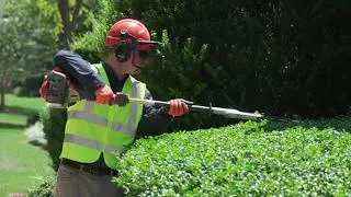 Reach Higher With Long Reach Pole Hedge Trimmer  | Husqvarna