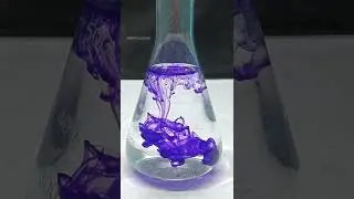 Bleaching powder vs ujala #bleach #ujala #science #shorts #youtubeshorts #scienceexperiment