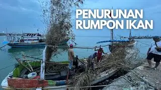 PROSES PENURUNAN RUMPON IKAN