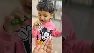 big prank hot spicy chili with waffy stick chocolate 🌶️🔥🌶️ #shorts #funny #shivanya1211