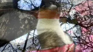 Filmy1.wmv
