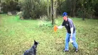 Ben and Ozzy on Green of Hole 8 at BRATS Disc Golf Course