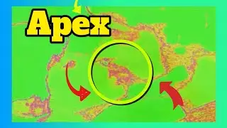 Apex
