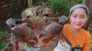 Tasty Rock Salt Steam Mud Crab - Cooking With Sros