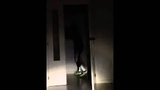 Nike flash tight