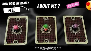 🤯 🔍 How Does He Really FEEL About Me!? 🥵 ✨ 😩  👀  *Powerful* 🖤  Psychic Reading! (Pick A Card)