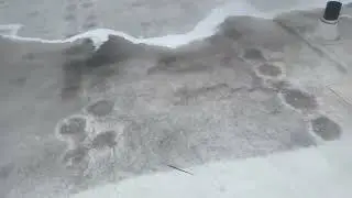 Commercial Roof Cleaning Chicago | Chicago Pressure Washing