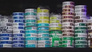 FDA approves sales of Zyn nicotine pouches