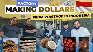 How Indonesia Turns Coconut Waste into Millions of Dollars | Investment Opportunities for Foreigners