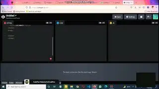 How to use codepen Website