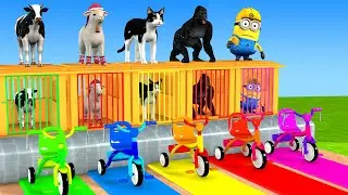 Long Slide Game With Cow Elephant Gorilla Hippopotamus Tiger 3d Animal Game Funny 3d Animals