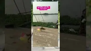 #funny #dogsnacks #dogprankvideo #animals #shortvideo #shortsviral #shortfeed #shortvideos